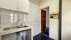 Trengganu Street (D1), Shop House #539954791